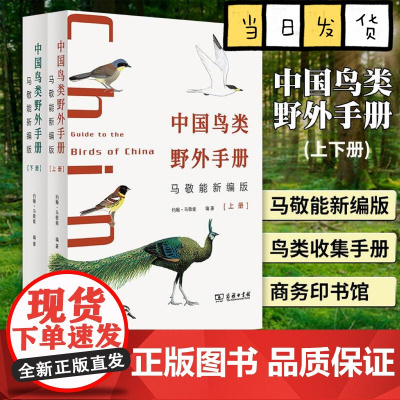 中国鸟类野外手册 马敬能新编版上下册 经典观鸟手册的全新修订 手绘版中国鸟类“新华字典”