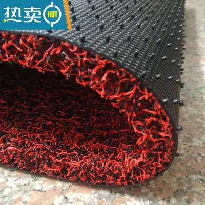 敬平入户门地毯加厚进门大门口门外免洗家用脚垫门垫吸尘防滑地垫防滑垫