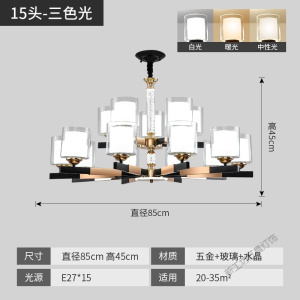 苏宁放心购 现代简约客厅吊灯2020年新款大气家用套餐厅子母北欧轻奢风格灯具