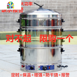 电蒸笼商用不锈钢多功能定时电蒸锅超大容量蒸包机家用蒸包炉馒头 FENGHOU 40cm2层(定时+保温+增强+报警