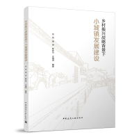 正版新书]乡村振兴战略背景下小城镇发展建设刘悦 周琳 陈安华