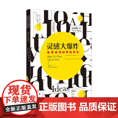 灵感大爆炸 约翰·恩格迪沃 著 艺术