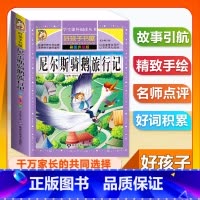 (单本)尼尔斯骑鹅旅行记 [正版]全套68本小学生快乐读书吧一二三四五六年级儿童文学四大名著童年安徒生格林童话朝花夕拾简