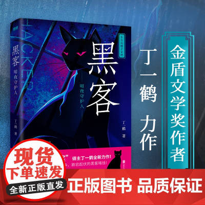 黑客:暗夜守护人(“金盾文学奖”作者丁一鹤全新力作!) 丁一鹤 北京联合出版有限公司 正版书籍