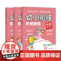 幼小衔接拼音阶梯教程全3册 大开本彩图版 衔接小学教材要求 语文专项训练学前班基础练习整合教材3-6-8岁学汉语拼音声