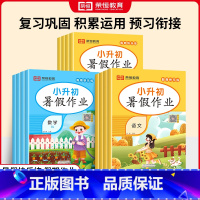 语文+数学-人教版 五升六 [正版]2024暑假作业一二三四五六年级下册语文数学英语全套人教版暑假衔接小学下学期一升二升