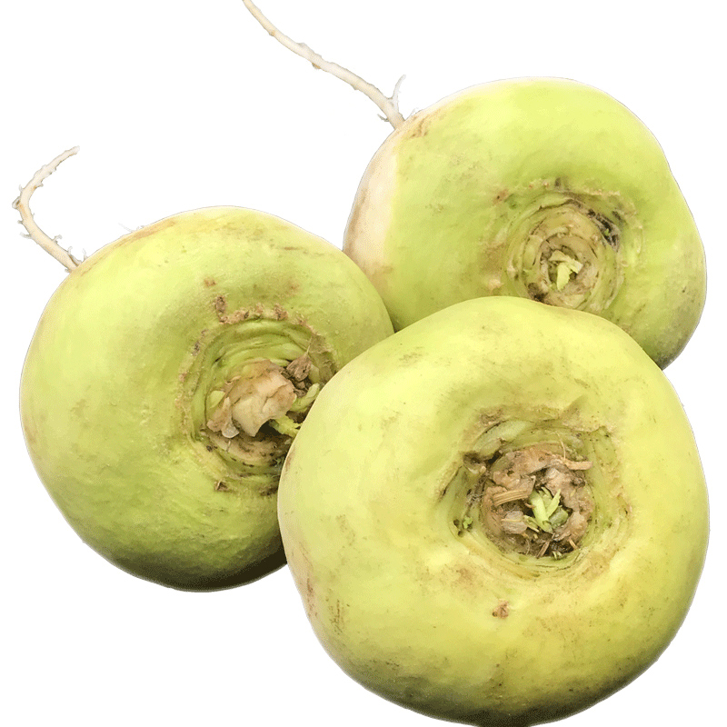 恰玛古 新鲜新疆特产 2.5kg 强碱食物柯坪县恰麻姑蔬菜