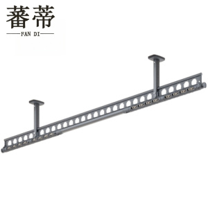 蕃蒂