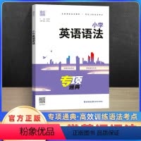 英语语法 小学通用 [正版]2024版专项通典 小学英语语法三四五六年级上下册通用版通成学典小学3456年级语法句型专项