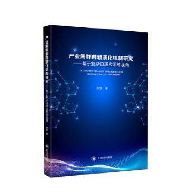 正版新书]产业集群创新演化机制研究:基于复杂自适应系统视角余