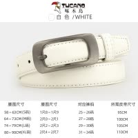 啄木鸟皮带女款真皮针扣腰带商务休闲女式牛皮裤带女士皮带百搭