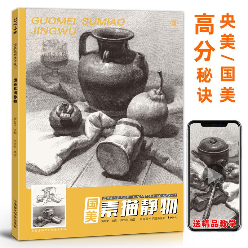 [正版图书]国美素描静物临摹照片书教材入门画册基础周文超美术生对画考级范本8开结构单体组合陶罐水果衬布写生铅笔绘画画儿童