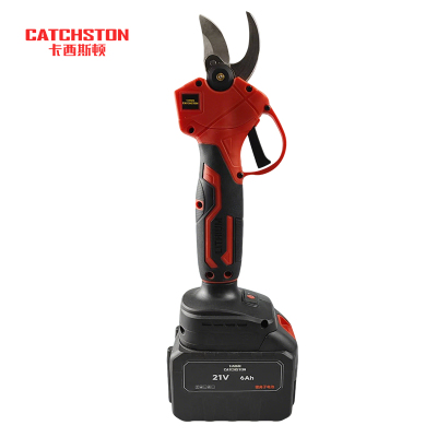 卡西斯顿 电动修枝剪 两电一充 台
