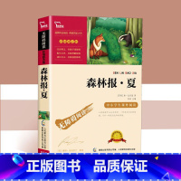 森林报夏 [正版]森林报春夏秋冬全4册 快乐读书吧四年级全集五六年级下册必读的课外书绘本必读老师儿童文学读物小学生课外阅