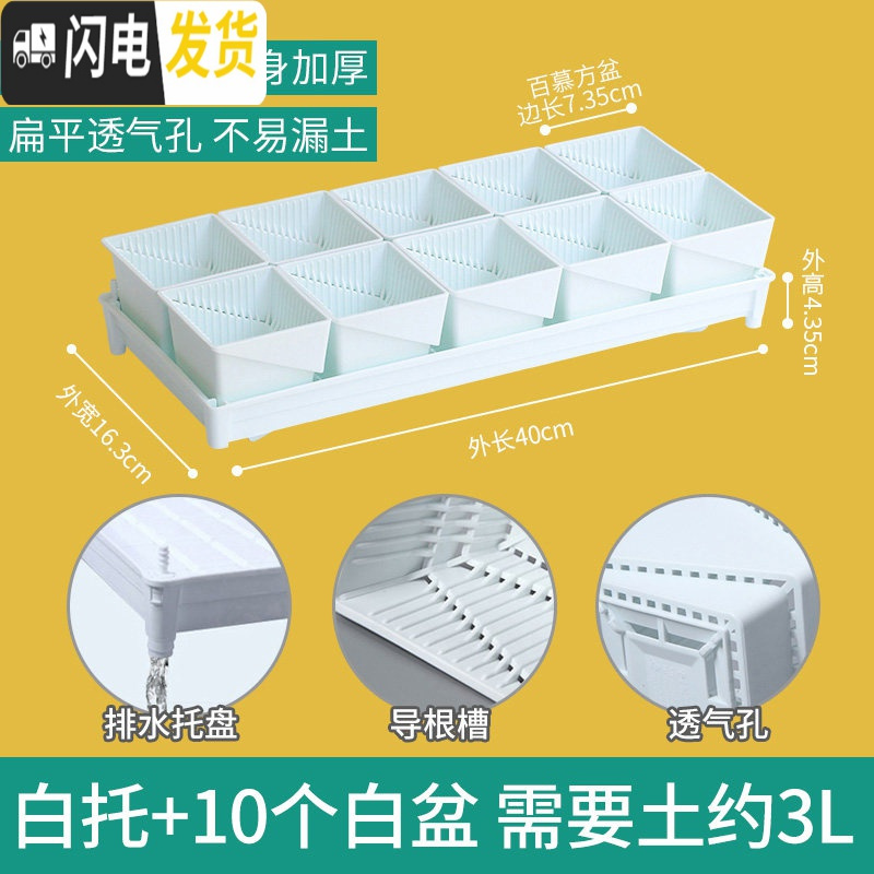 三维工匠控根多肉花盆套装组合塑料创意个性简约透气北欧风 [新款加厚盆]+[排水白托]+10个白盆(7.35cm盆花盆容器