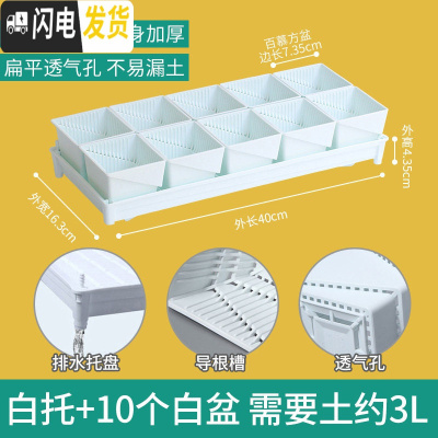 三维工匠控根多肉花盆套装组合塑料创意个性简约透气北欧风 [新款加厚盆]+[排水白托]+10个白盆(7.35cm盆花盆容器