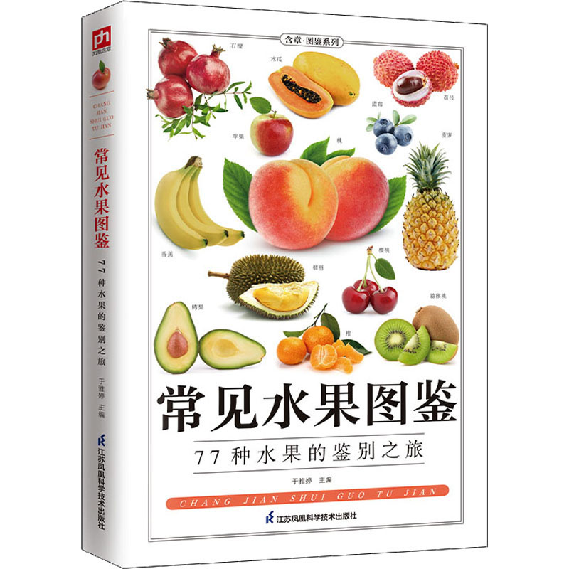 常见水果图鉴 于雅婷 编 文教 文轩网