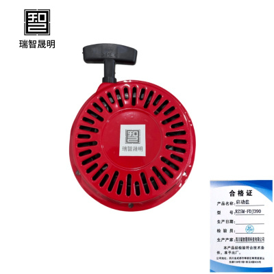 瑞智晟明(RZSM)启动盘RZSM-FDJ390