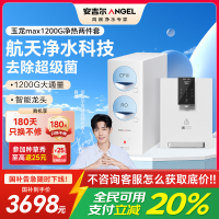 安吉尔净水器家用直饮机 RO反渗透膜净饮机天池玉龙max1200G+Y3611白色管线机