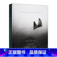 沉默的王国 海底世界 [正版]英文原版 Silent Kingdom 沉默的王国 海底世界 黑白水下摄影作品集 海洋生物