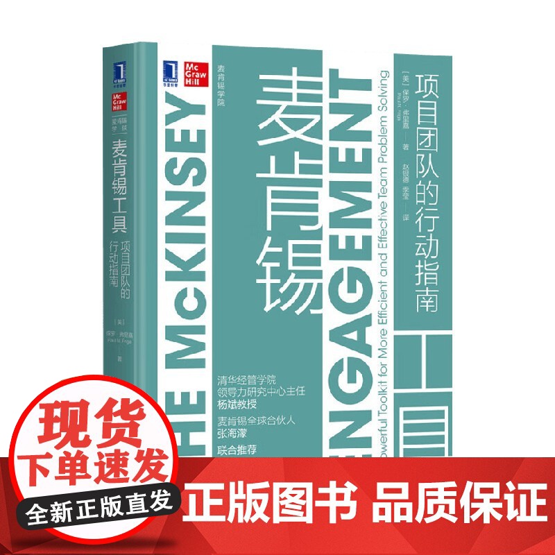 麦肯锡工具 项目团队的行动指南 保罗·弗里嘉 著 管理学