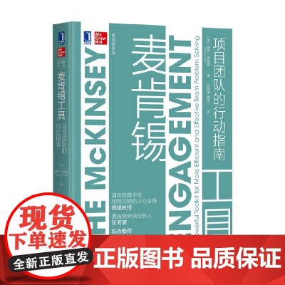 麦肯锡工具 项目团队的行动指南 保罗·弗里嘉 著 管理学