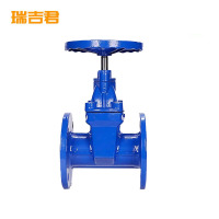 瑞吉君 软密封闸阀 DN100 单位:个