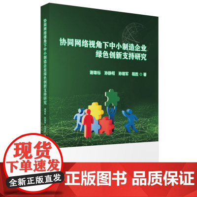 协同网络视角下中小制造企业绿色创新支持研究