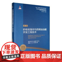 砂砾岩强非均质稠油油藏开发工程技术9787563676934 游红娟 中国石油大学出版社