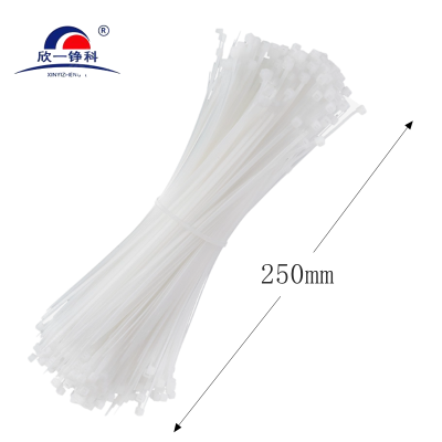 欣一铮科 尼龙扎带 4*250 (250个/包) 个