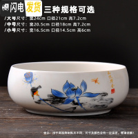 三维工匠水仙花盆铜钱水培花盆陶瓷无孔大室内碗莲荷花金钱专用盆 款式-16 小花盆容器