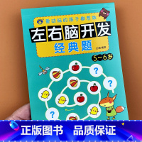[正版]河马文化左右脑开发经典题5-6岁儿童智力开发书 幼儿全脑思维训练 潜能益智力开发书宝宝左右脑全脑思维逻辑记忆力
