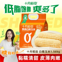 十月稻田鲜食白糯玉米1.56kg(260g*6)软糯香甜0添加真空包装
