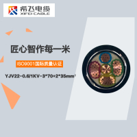 希飞牌 YJV22-0.6/1KV-3*70+2*35mm² 铜芯低压铠装电缆 元/米 联系客服 定制商品