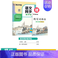 [语文同步练字帖]7年级上(描红) [正版]初中生字帖练字七年级八年级上册练字帖每日一练古诗文中学生楷书钢笔练字本硬笔书