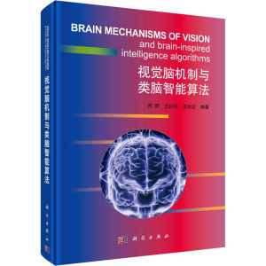 视觉脑机制与类脑智能算法