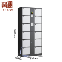 翼澜 电子存包柜12门 台