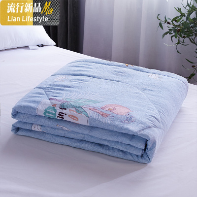 棉可水洗夏凉被空调被棉加厚保暖冬被芯批秋被子学生宿舍 三维工匠