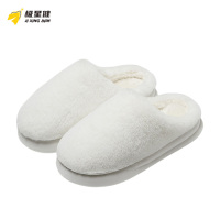 极星健 拖鞋 M2 双