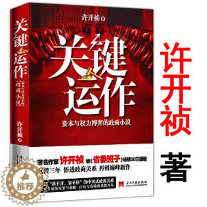[醉染正版]15.8 关键运作资本与权力博弈的政商小说 许开祯说透中国企业发展的原罪与救赎宦海与商场的恩怨纠葛掌舵运