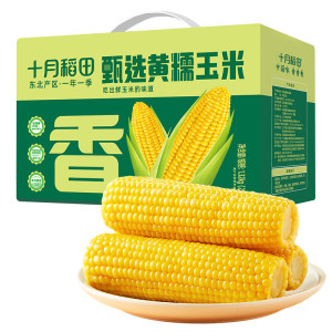 十月稻田甄选黄糯玉米1.32kg(220gX6)礼盒 甜糯饱腹真空包装