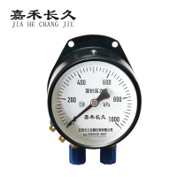 嘉禾长久 双针表 YZS-102 24V带灯 台