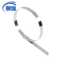 聊源自锁式不锈钢扎带19×1400mm