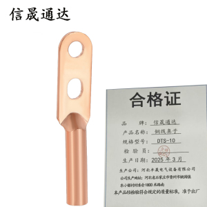 信晟通达 铜线鼻子 DTS-10 个