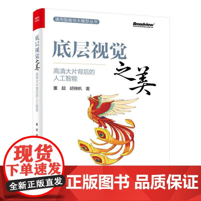 底层视觉之美 高清大片背后的人工智能 董** 胡锦帆 通用智能与大模型丛书 底层视觉技术书籍 多模态大模型 图像视频算法