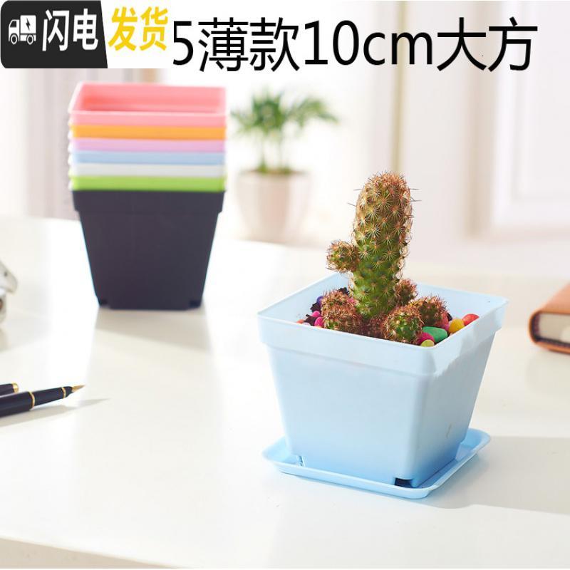 三维工匠小黑方小方大黑方大彩方多肉植物塑料花盆叶插育苗配搭托盘 7cm混色100个 盆+底托花盆容器