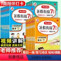 暑假衔接·语数英3本套 小学三年级 [正版]暑假衔接一年级二年级三四五年六年级下册人教版一升二小学语文阅读理解专项训练书