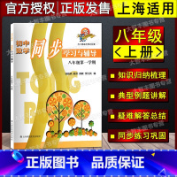 八年级/初中二年级 [正版]初中数学同步学习与辅导 八年级第一学期/8年级上 上海科技教育出版社 上海版 科教版教辅