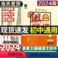 七年级语文阅读组合训练 初中通用 [正版]2024版奥赛王巅峰语文初中组合阅读七八九年级上下册人教版初一初二初三课外阅读