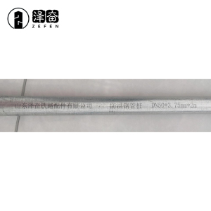 泽奋 洪钢管桩 DN50*3.75mm*2m 根